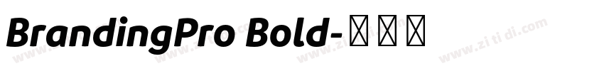 BrandingPro Bold字体转换